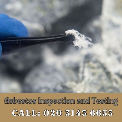 Comprehensive Asbestos Inspection and Testing Services in West Ham